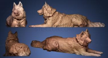 3D model DOG C Husky (STL)